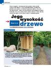 Jego wysokość drzewo -Inspiracje