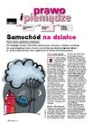 Samochód na działce. Garaż, wiata czy miejsce postojowe
